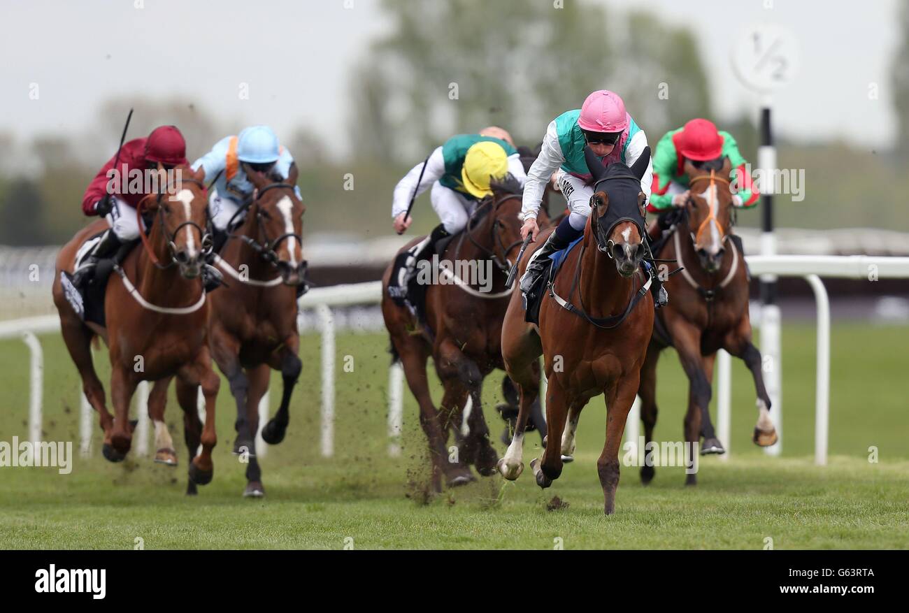 Les courses de chevaux - champ &AMP ; SIA Raceday Charité - Newbury Banque D'Images