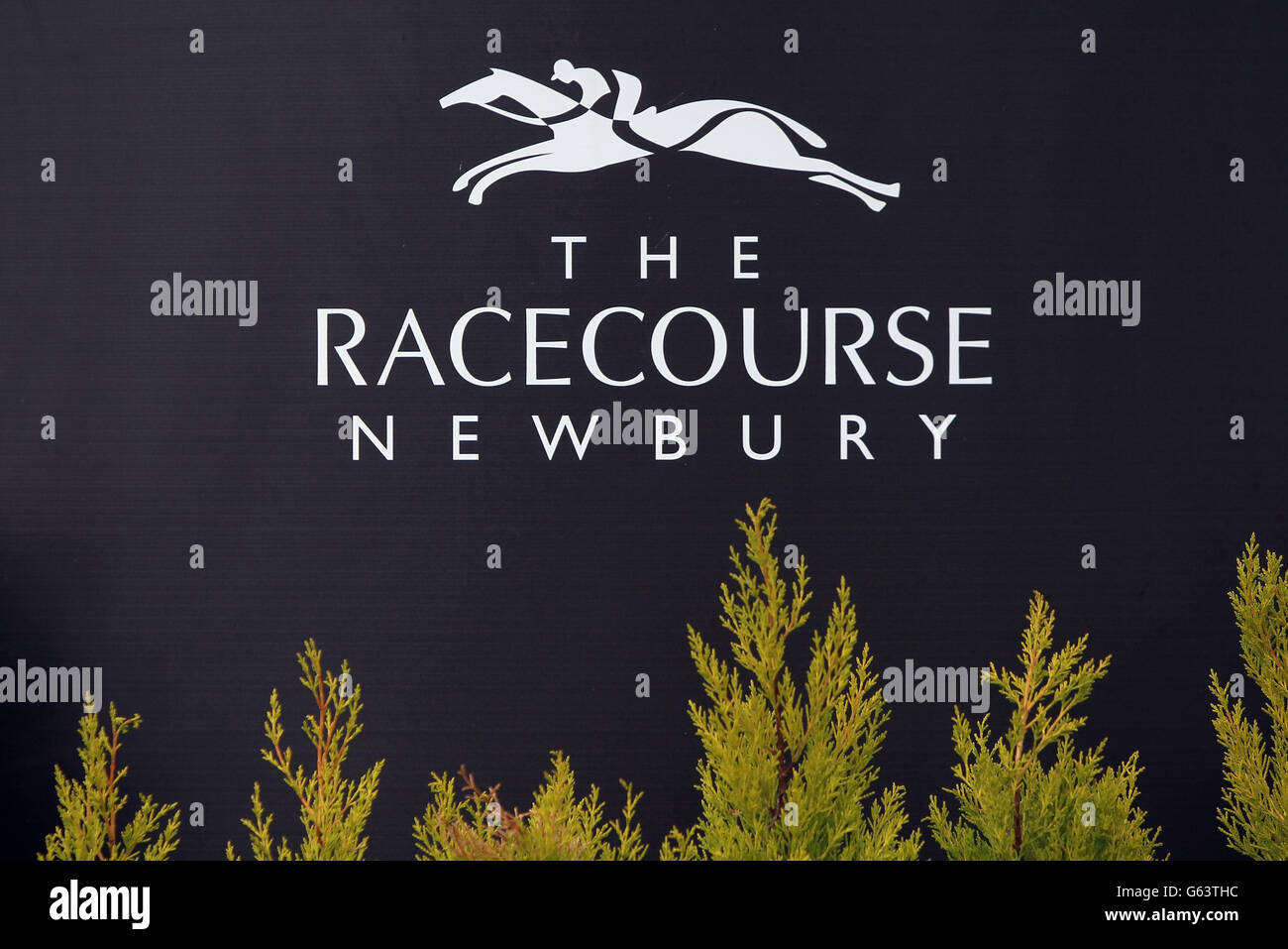Course hippique - Scope & SIA Charity Raceday - Newbury.La marque Racecourse Newbury à Newbury.Champ de courses. Banque D'Images