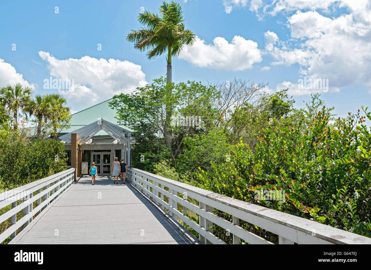 La Floride, le Parc National des Everglades, Ernest F. Coe Visitor Center Banque D'Images