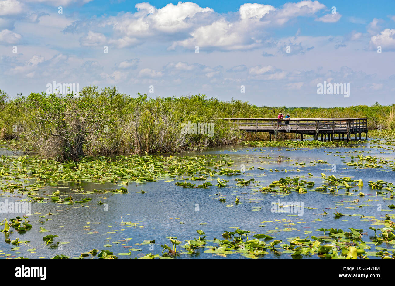 La Floride, le Parc National des Everglades, Anhinga Trail, couple on boardwalk Banque D'Images