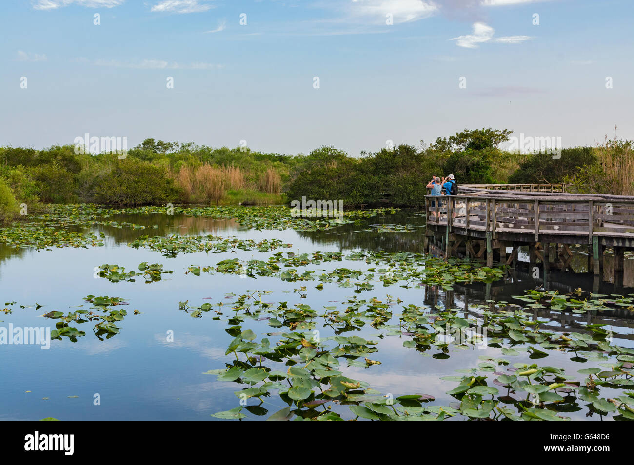 La Floride, le Parc National des Everglades, Anhinga Trail, Boardwalk, soir Banque D'Images