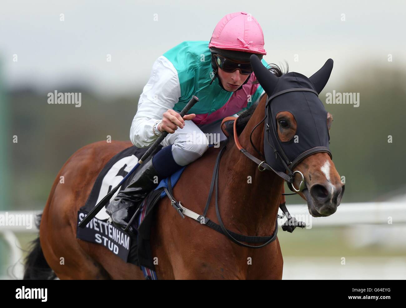 Les enjeux de l'essai lors de la course de la Charity Scope & SIA à Newbury. Champ de courses. APPUYEZ SUR PHOTO D'ASSOCIATION. Date de la photo: Vendredi 17 mai 2013. Voir PA Story RACING Newbury. Le crédit photo devrait se lire comme suit : David Davies/PA Wire Banque D'Images
