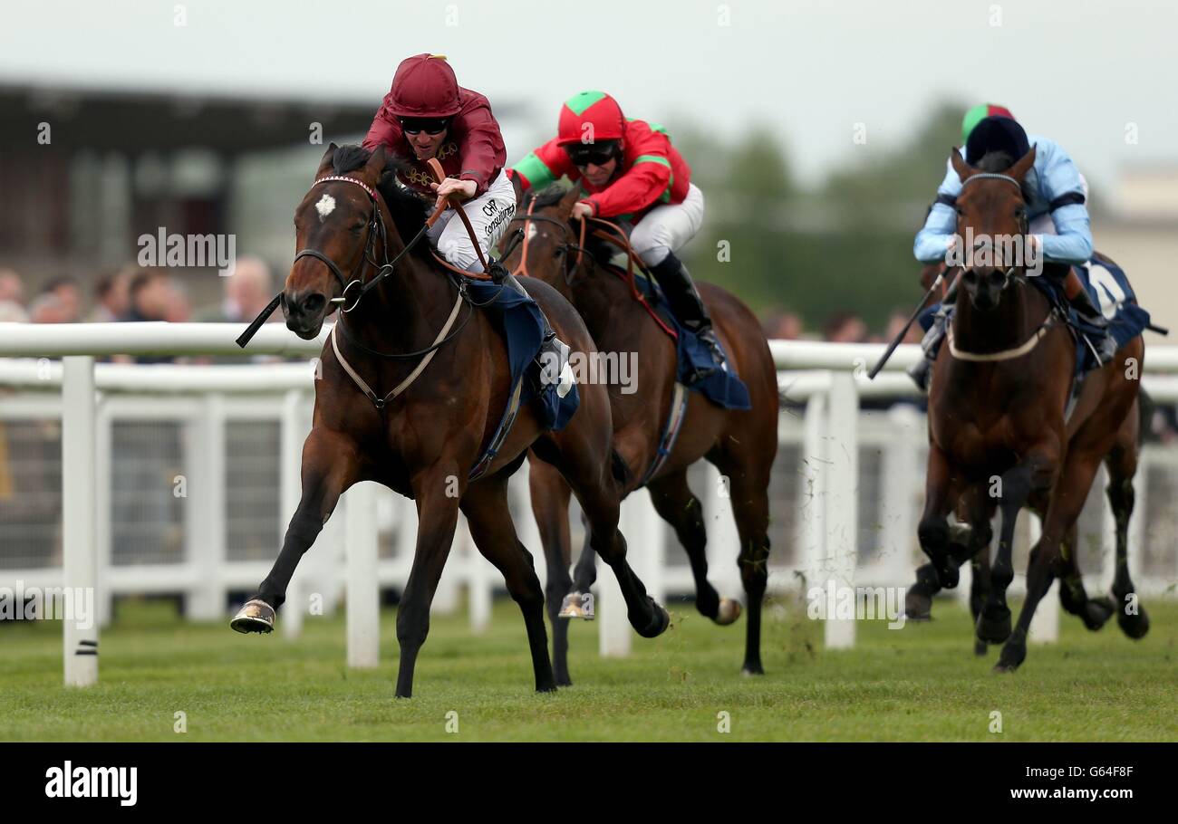 Les courses de chevaux - champ &AMP ; SIA Raceday Charité - Newbury Banque D'Images