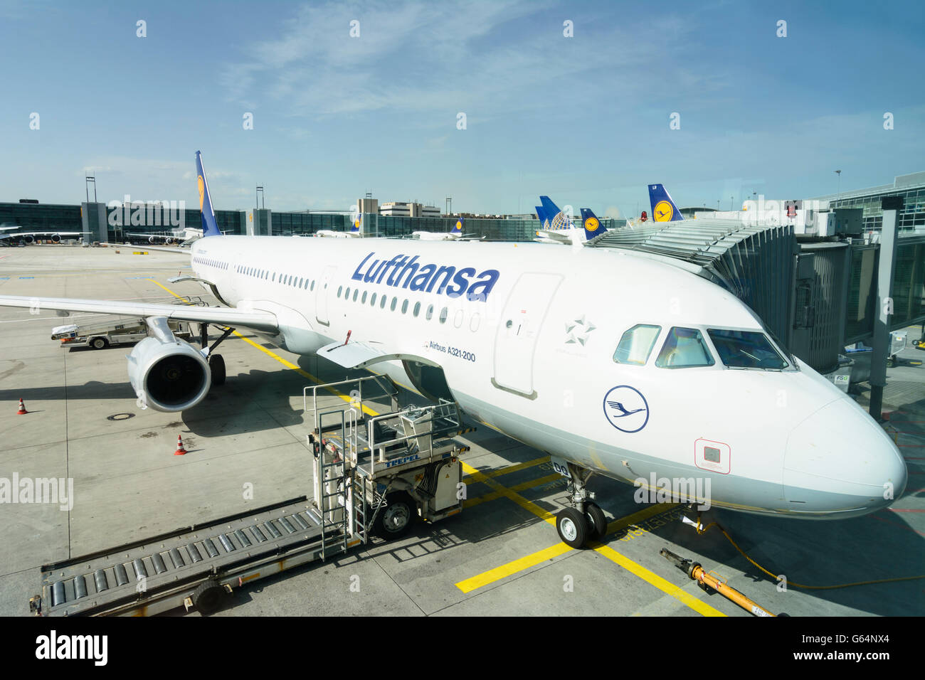 Aéroport : Airbus A321 Lufthansa, Frankfurt am Main, Allemagne, Hesse, Hesse, Banque D'Images