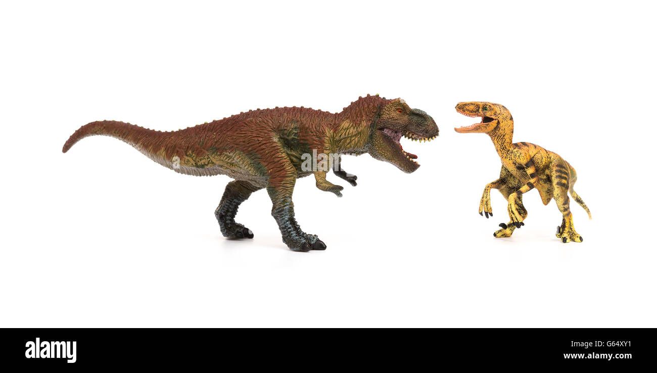 Tyrannosaurus velociraptor et sur un fond blanc Banque D'Images