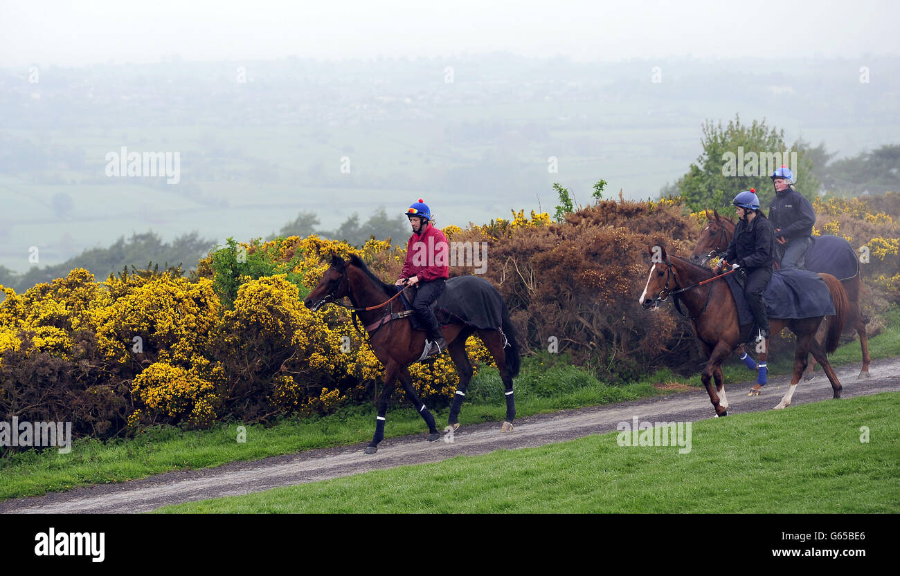 Libertarian (à gauche) est le premier cheval du Yorkshire à gagner les enjeux de Dante depuis 1962, se prépare à la grande course sur le Bas Moor à Middleham. Banque D'Images