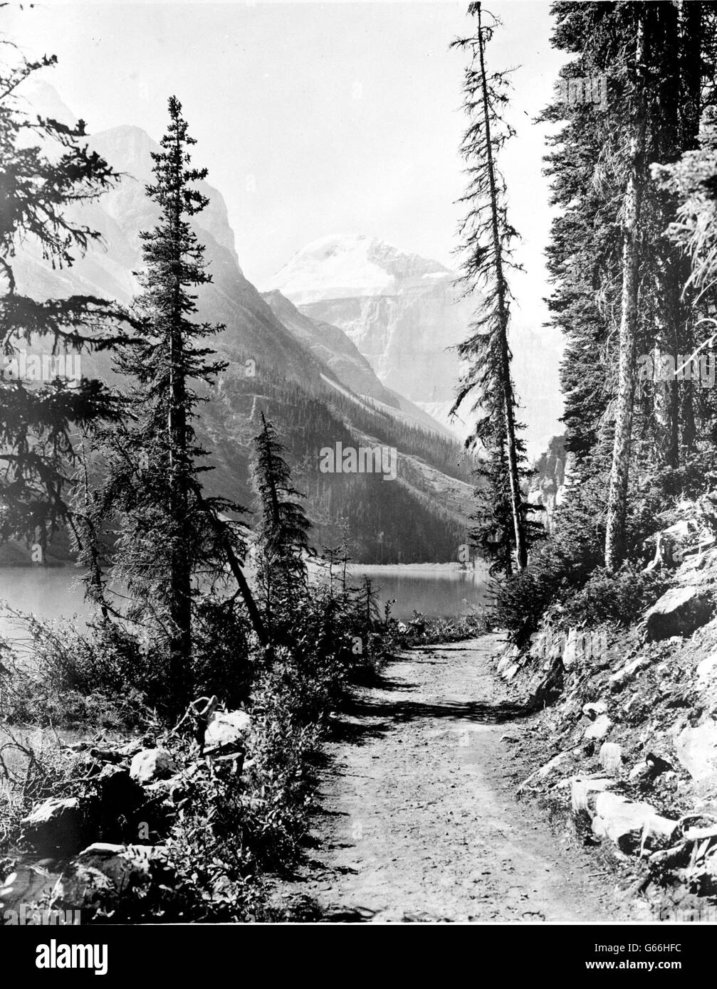 Lac Moraine, parc national Banff, typique des plus beaux paysages des montagnes Rocheuses. Banque D'Images