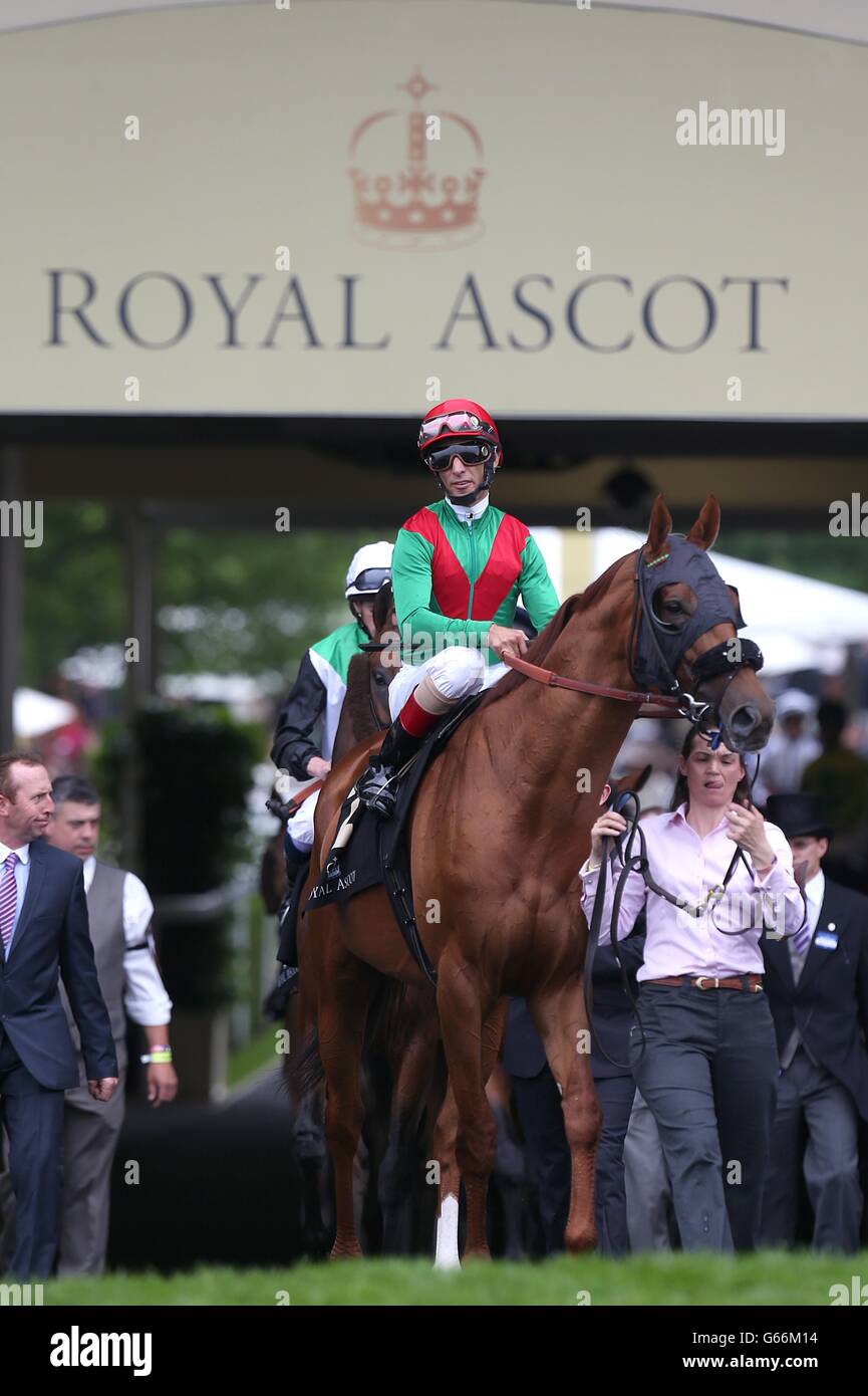 Royaume des animaux criblé par John R.Velazquez avant de courir dans les piquets de la Reine Anne pendant la première journée de la rencontre de la Royal Ascot à l'hippodrome d'Ascot, dans le Berkshire. Banque D'Images