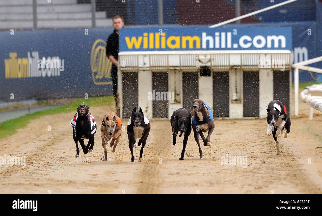 Droopys Jet (n°6 noir/blanc), Skate on (n°5 orange), KerEight King (n°4 noir), Kilara Missy (n°3 blanc), Teejays Bluehawk (n°2 bleu) et Tyr Sugar Ray (n°1 rouge) en action pendant le troisième cycle de William Hill Derby 1 Banque D'Images