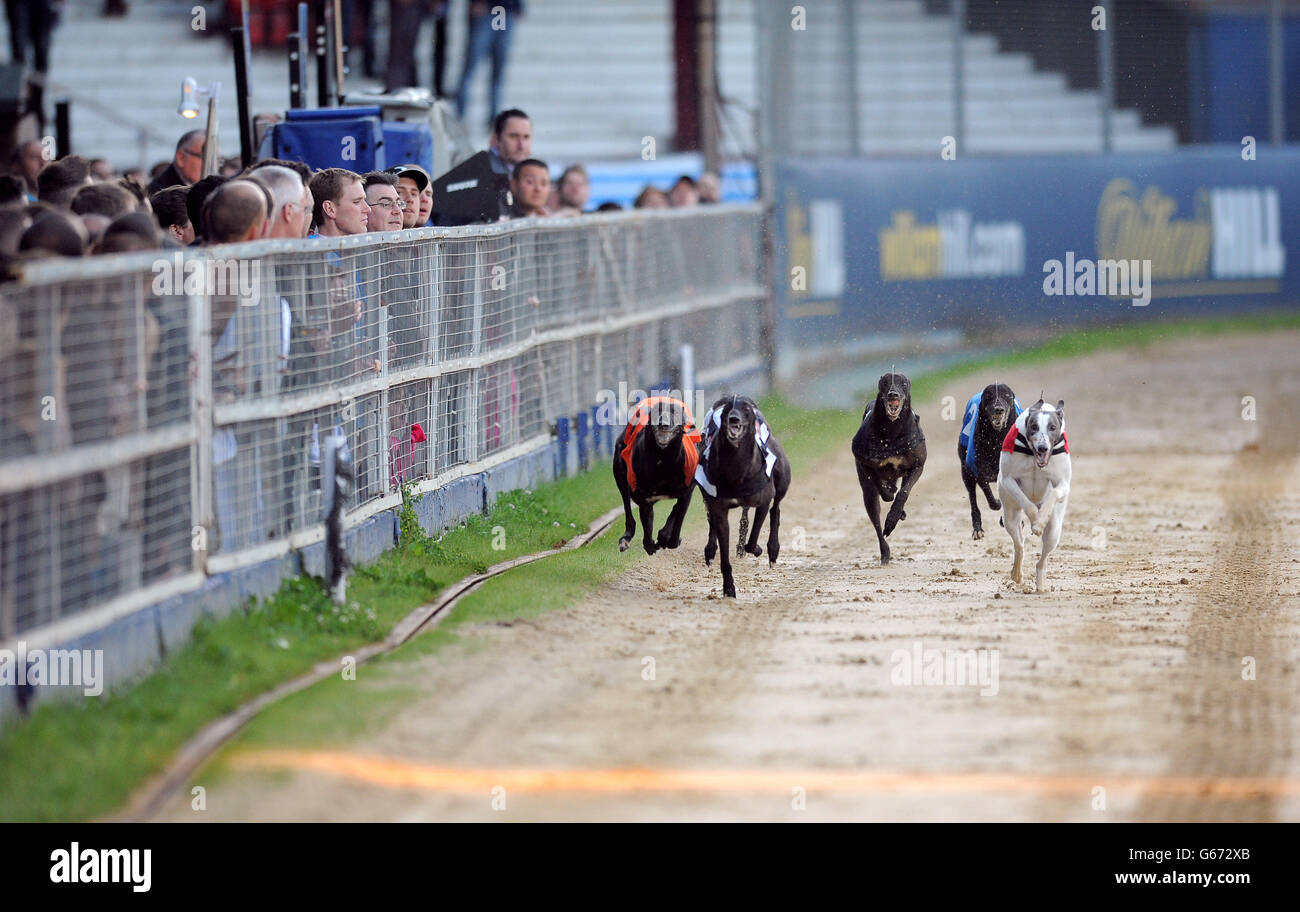 Carkei Max (n°6 noir/blanc), Airlie impact (n°5 orange), Farloe Chico (n°4 noir), Benkaat Nero (n°3 blanc), Fermoy Henry (n°2 bleu) et Sidaz Jack (n°1 rouge) en action lors du troisième cycle de William Hill Derby 4 Banque D'Images
