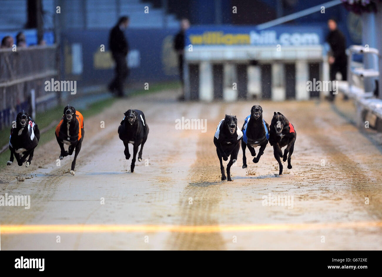 Critique d'écran (n°6 noir/blanc), Dinner Hunter (n°5 orange), Jaytee Hellcat (n°4 noir), Farloe Warhawk (n°3 blanc), Newinn Rocket (n°2 bleu) et Money Talks (n°1 rouge) en action pendant le troisième tour de William Hill Derby chaleur 7 Banque D'Images