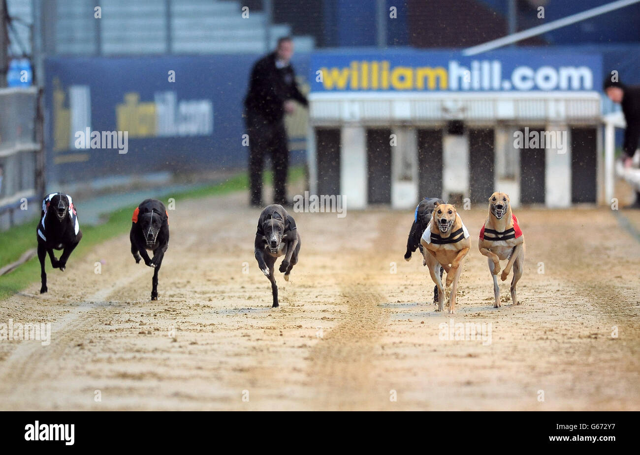 Droopys Ed Moses (n°6 noir/blanc), Islas Scolari (n°5 orange), Loughteen Blanco (n°4 noir), Stonepark Crash (n°3 blanc), Farloe Buddy (n°2 bleu) et Ballymac Eske (n°1 rouge) en action pendant le troisième cycle de chaleur 6 de William Hill Derby Banque D'Images