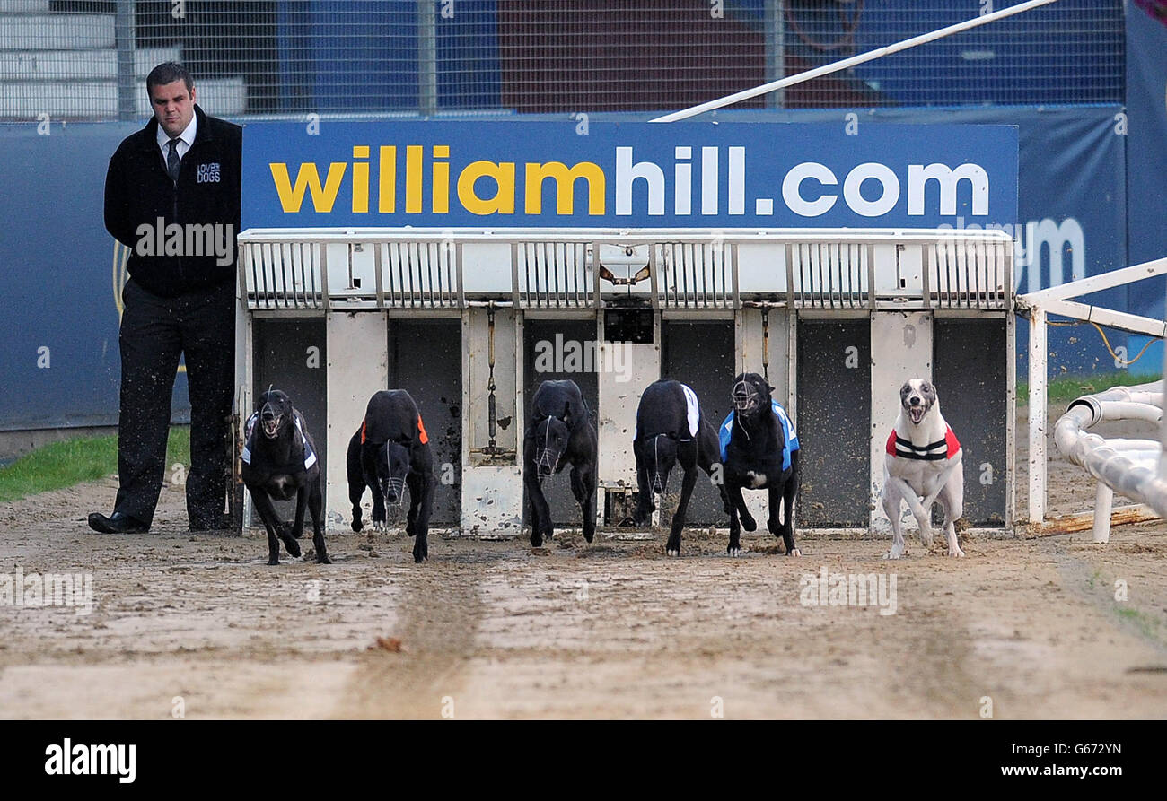 Carkei Max (n°6 noir/blanc), Airlie impact (n°5 orange), Farloe Chico (n°4 noir), Benkaat Nero (n°3 blanc), Fermoy Henry (n°2 bleu) et Sidaz Jack (n°1 rouge) en action lors du troisième cycle de William Hill Derby 4 Banque D'Images