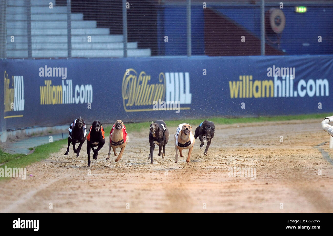 Droopys Ed Moses (n°6 noir/blanc), Islas Scolari (n°5 orange), Loughteen Blanco (n°4 noir), Stonepark Crash (n°3 blanc), Farloe Buddy (n°2 bleu) et Ballymac Eske (n°1 rouge) en action pendant le troisième cycle de chaleur 6 de William Hill Derby Banque D'Images