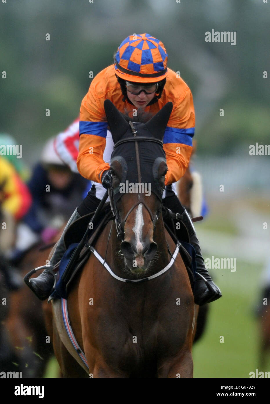 Les courses de chevaux - 2013 Derby irlandais - Oxigen de Pretty Polly Stakes de l'environnement Jour - Curragh Hippodrome Banque D'Images