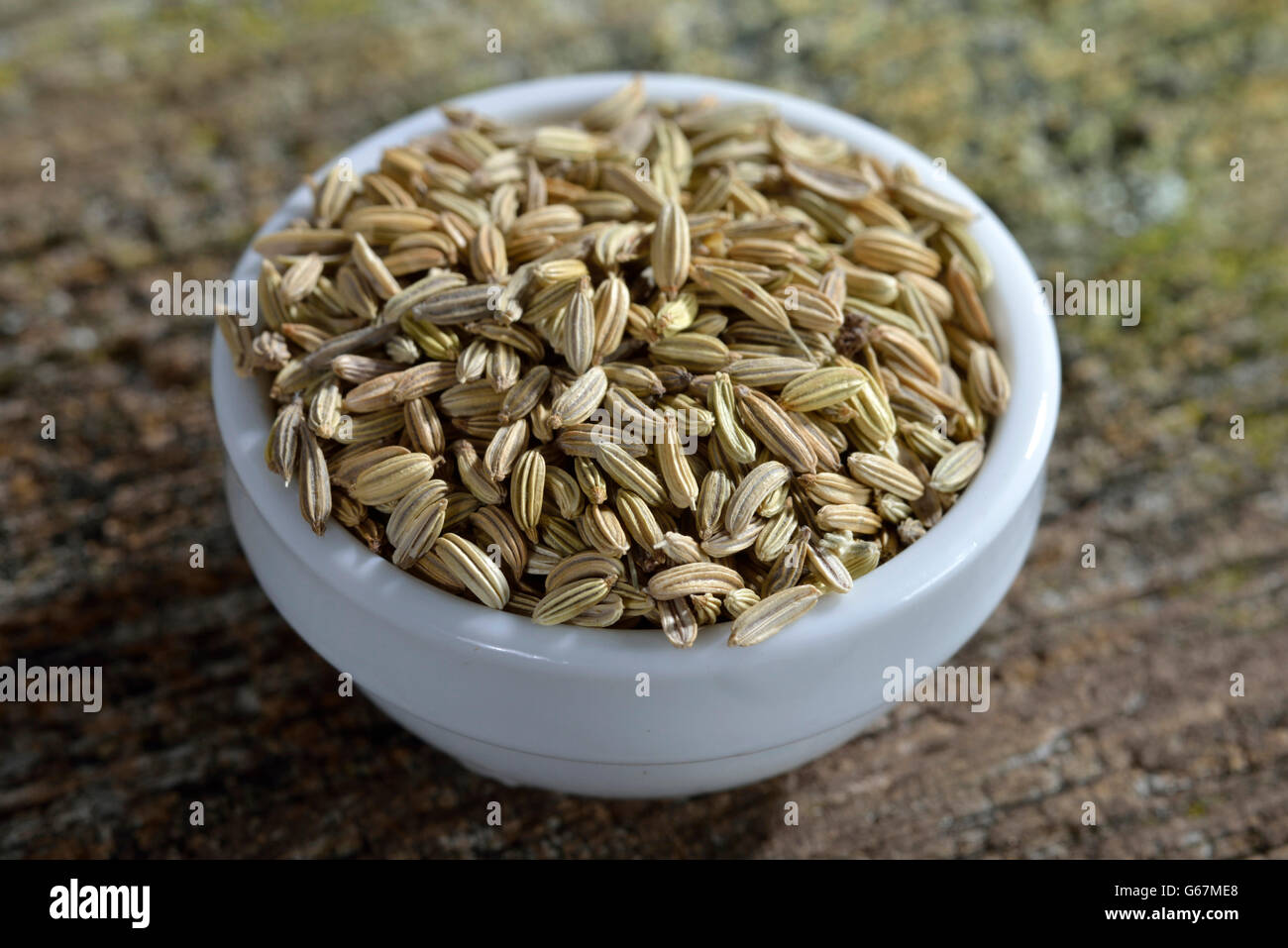 / Graines de fenouil (Foeniculum vulgare) Banque D'Images