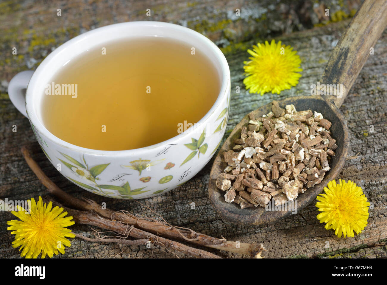 Une tasse de thé de racines de pissenlit (Taraxacum officinale) / Banque D'Images