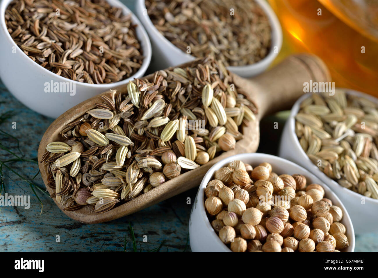 Plateau avec de l'anis, fenouil, cumin, coriandre annuelle / (Pimpinella anisum, Foeniculum vulgare, Carum carvi, Coriandrum sativum) Banque D'Images