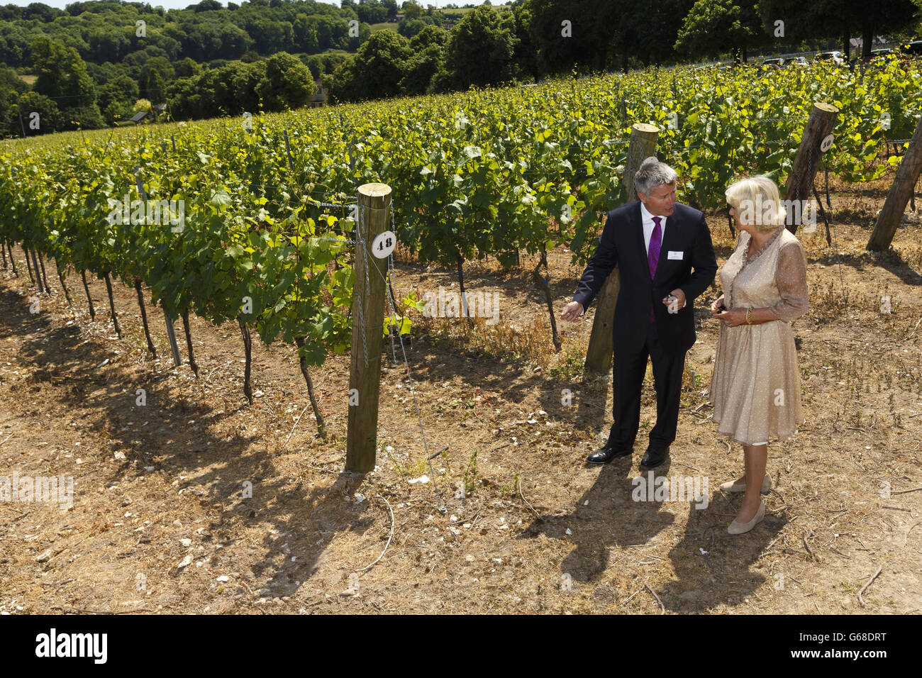 La Duchesse de Cornwall voit les vignes avec le directeur général Ian Kellett lors de sa visite à Hambledon Vineyard, dans le Hampshire, où elle a ouvert son nouveau domaine en sa qualité de présidente de la United Kingdom Vineyards Association. Banque D'Images