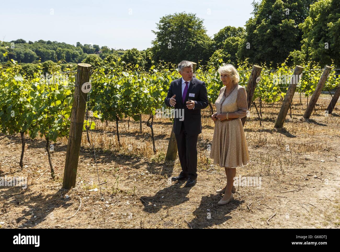 La Duchesse de Cornwall voit les vignes avec le directeur général Ian Kellett lors de sa visite à Hambledon Vineyard, dans le Hampshire, où elle a ouvert le nouveau domaine en sa qualité de présidente de la United Kingdom Vineyards Association. Banque D'Images