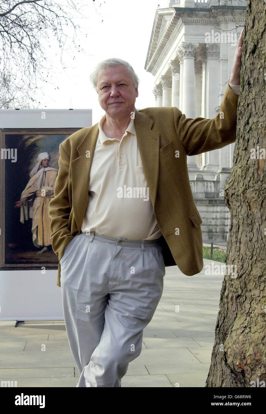 Sir David Attenborough lors d'une séance photo en dehors de la Grande-Bretagne de Tate, dans le centre de Londres, pour lancer l'appel du centenaire des collections nationales d'art pour sauver le prtrait de Sir Joshua Reynold de 'Omai' pour la nation. Le travail est l'un des nombreux articles en suspens actuellement menacés d'exportation à l'étranger. Banque D'Images