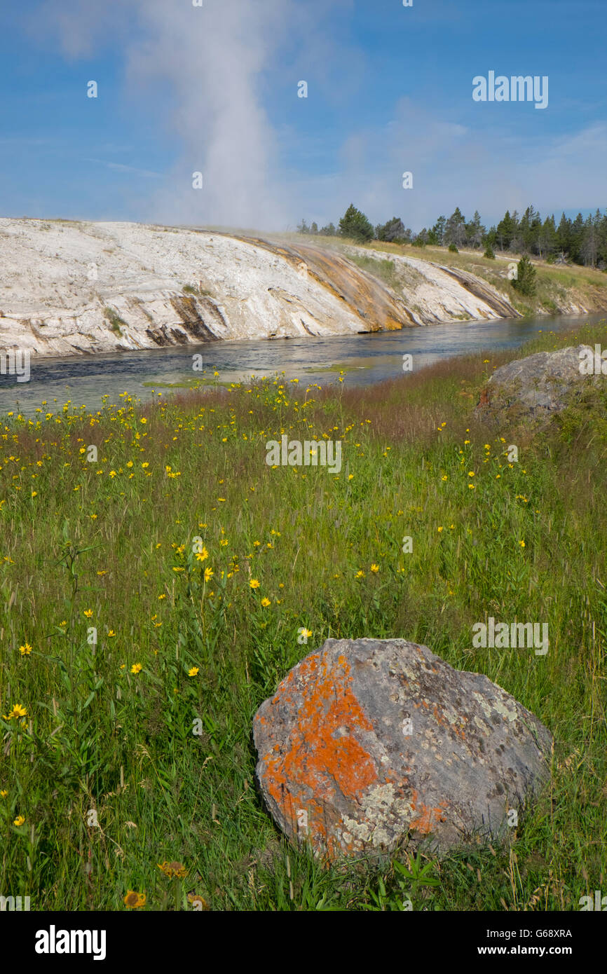 Milieu Geyser Basin, Yellowstone, États-Unis Banque D'Images