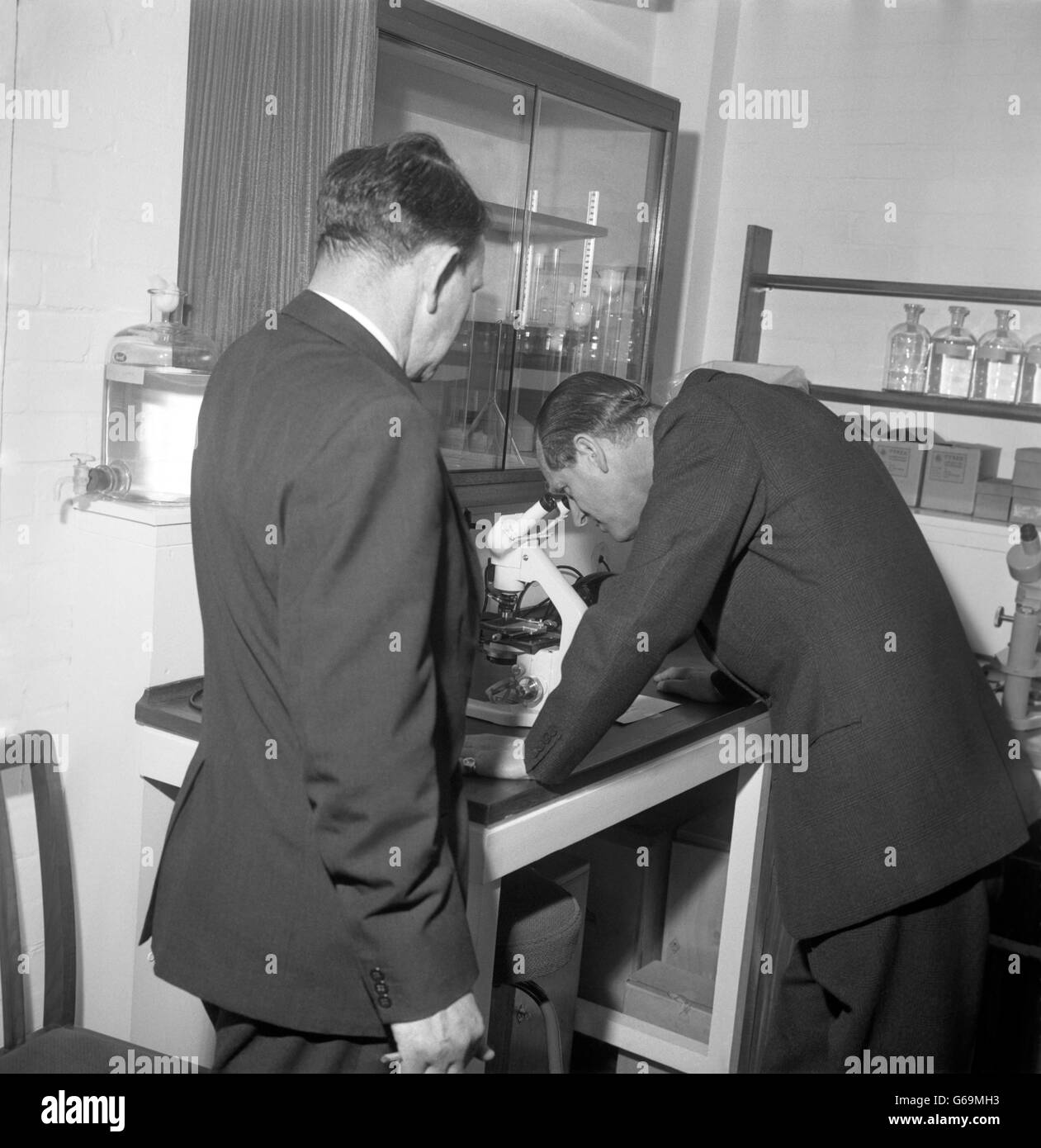 Animaux - Assemblée Générale Annuelle de la Société zoologique de Londres - London Zoo Banque D'Images