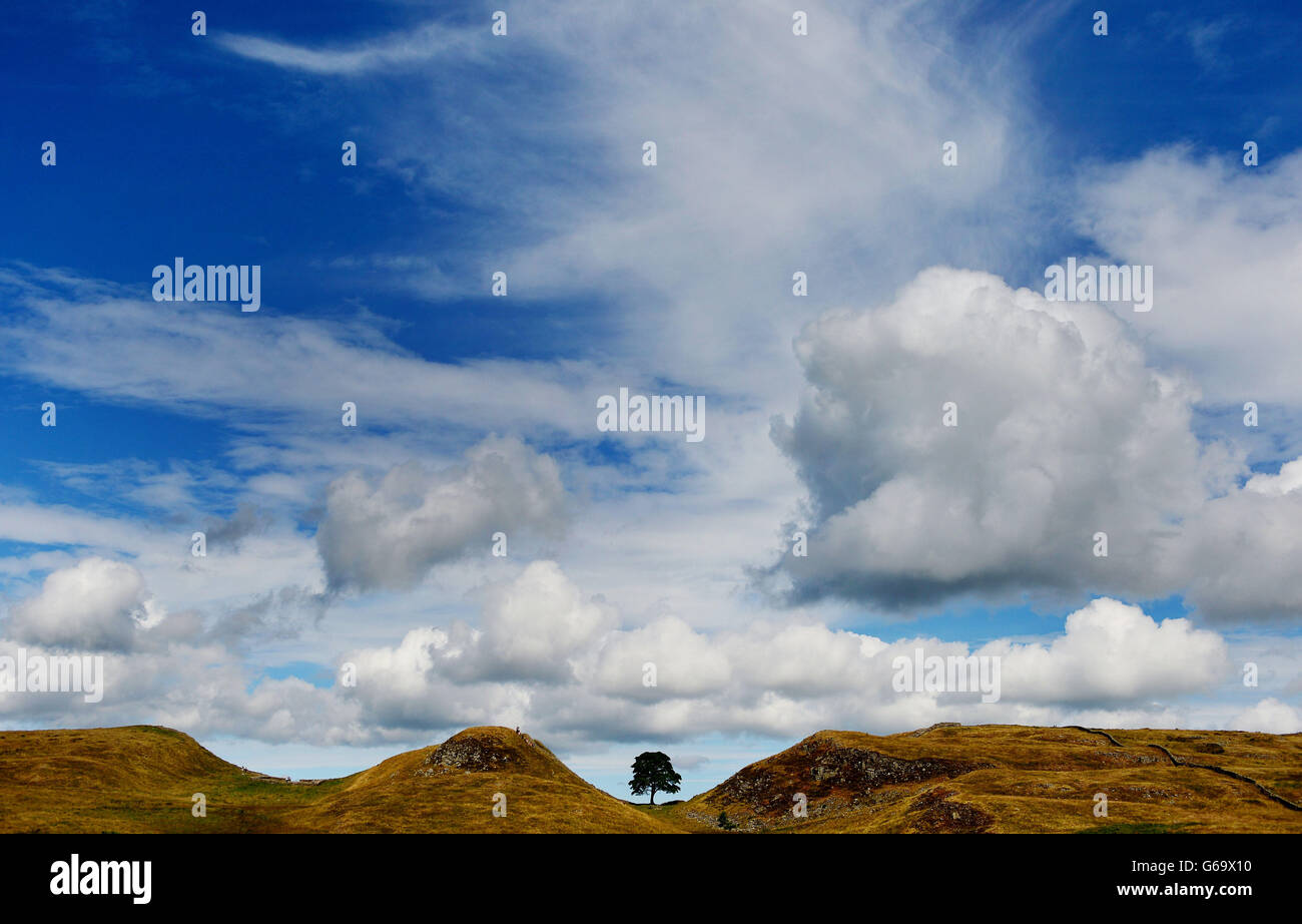 En été, le 31 juillet Banque D'Images