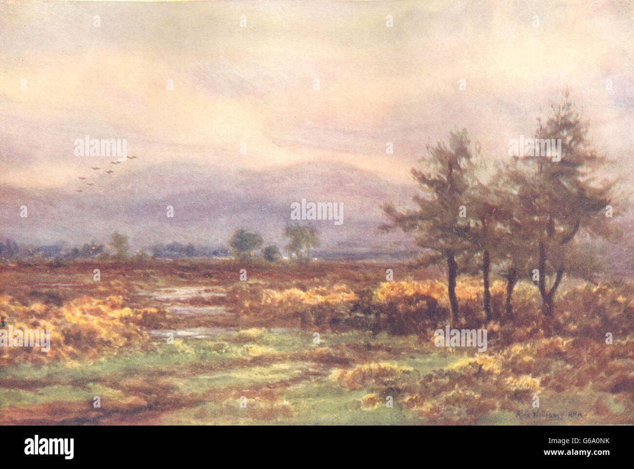 Irlande : Leinster : près de Abbeyleix, Queen's Co, antique print c1912 Banque D'Images