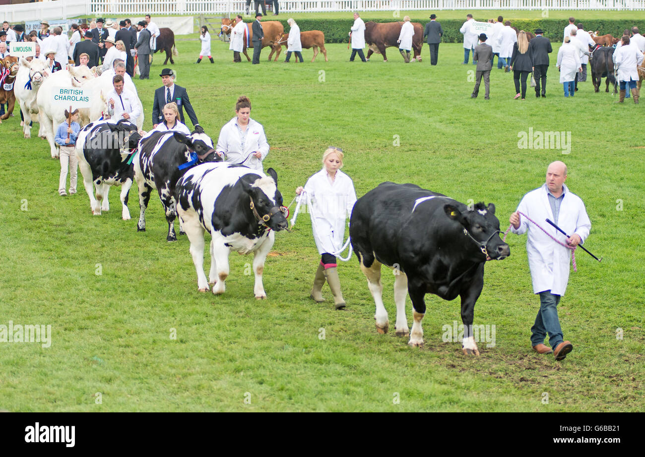 Le Lincolnshire, au Royaume-Uni. 23 Juin, 2016. Gratuites, JCB Diggers Danse, saut à cheval, oiseaux de proie, les meilleures races de chevaux et de charrettes, cascades, d'affichage, de vélos et de l'artisanat traditionnel, présentoirs de vente une partie de l'attraction de cette années pour les visiteurs de profiter se terminant le spectacle avec le rapport annuel de jeunes agriculteurs et de l'eau fleurs branches bataille . Credit : Clifford Norton/Alamy Live News Banque D'Images