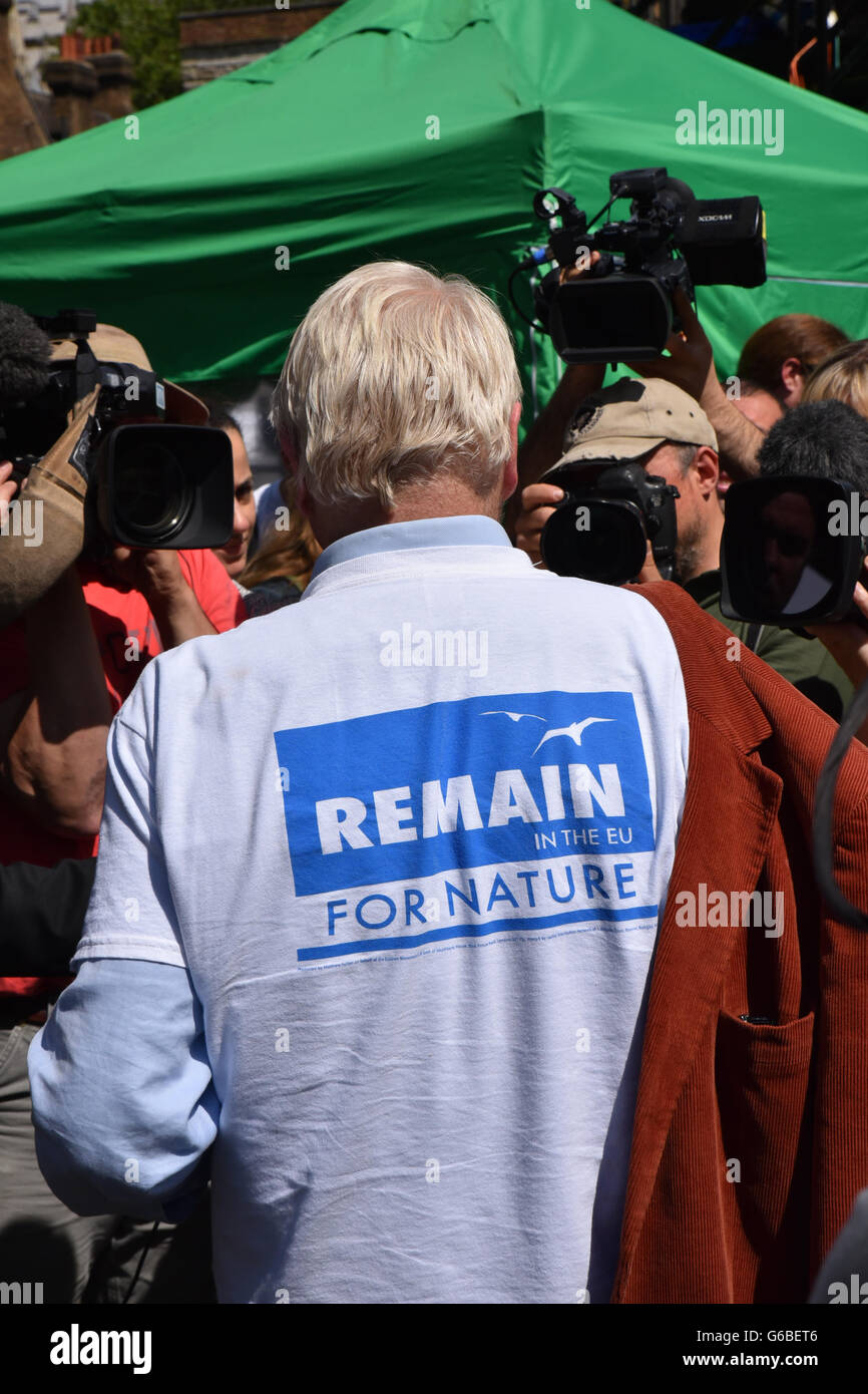 Westminster, London, UK. 24 juin 2016. Référendum européen : Vote Laisser gagne et David Cameron démissionne. Banque D'Images