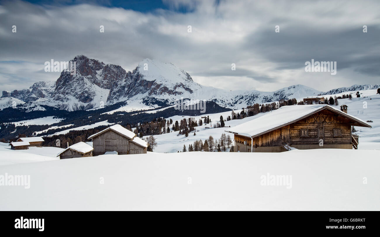 Chalets tyroliens sur le plateau de montagne de l'Alpe di Siusi (Seiser Alm). Les pics de Sassolungo et Sassopiatto. Les Dolomites De Gardena. Alpes Italiennes. Europe. Banque D'Images