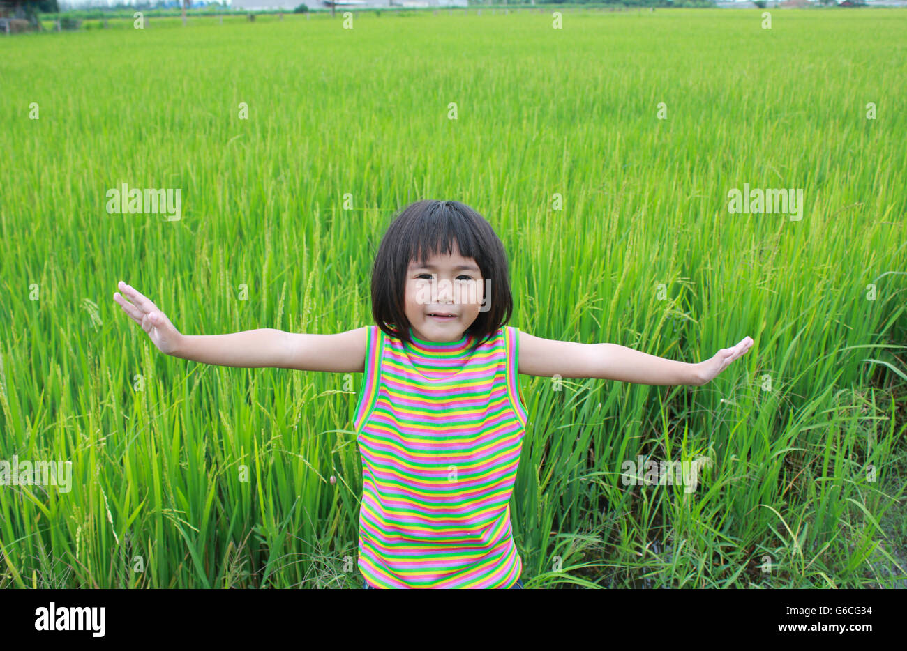 Jeune fille debout dans le champ de riz, au printemps. Banque D'Images