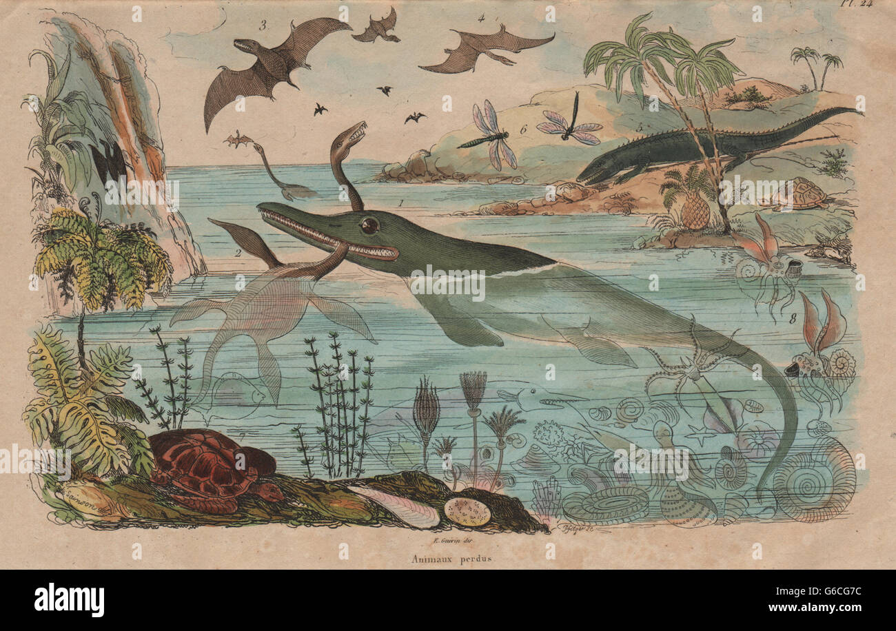 Les DINOSAURES : Animaux Perdus. Diverses espèces animales disparues, antique print 1833 Banque D'Images