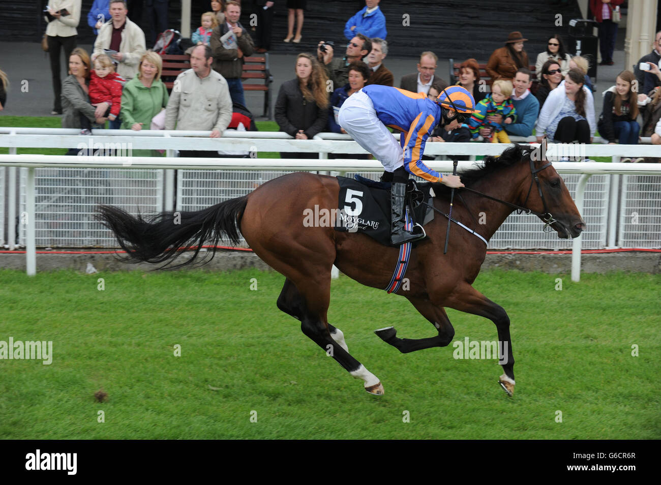 Les courses de chevaux - Moyglare Stud Stakes jour - Le Curragh Banque D'Images