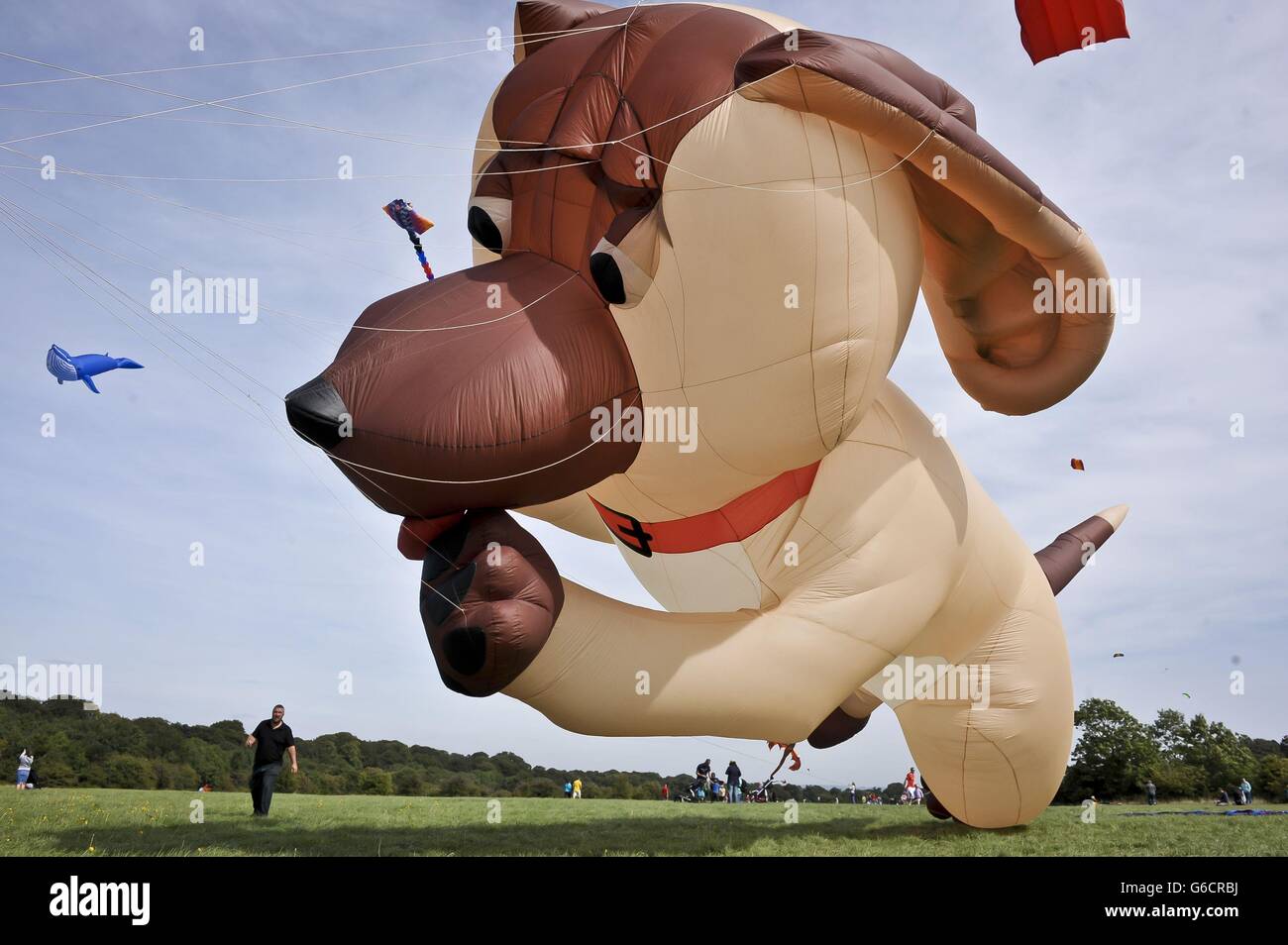 les plus grands événements de cerf-volant et des équipes et des cerfs-volants de toutes nationalités assistent au festival de deux jours. Banque D'Images