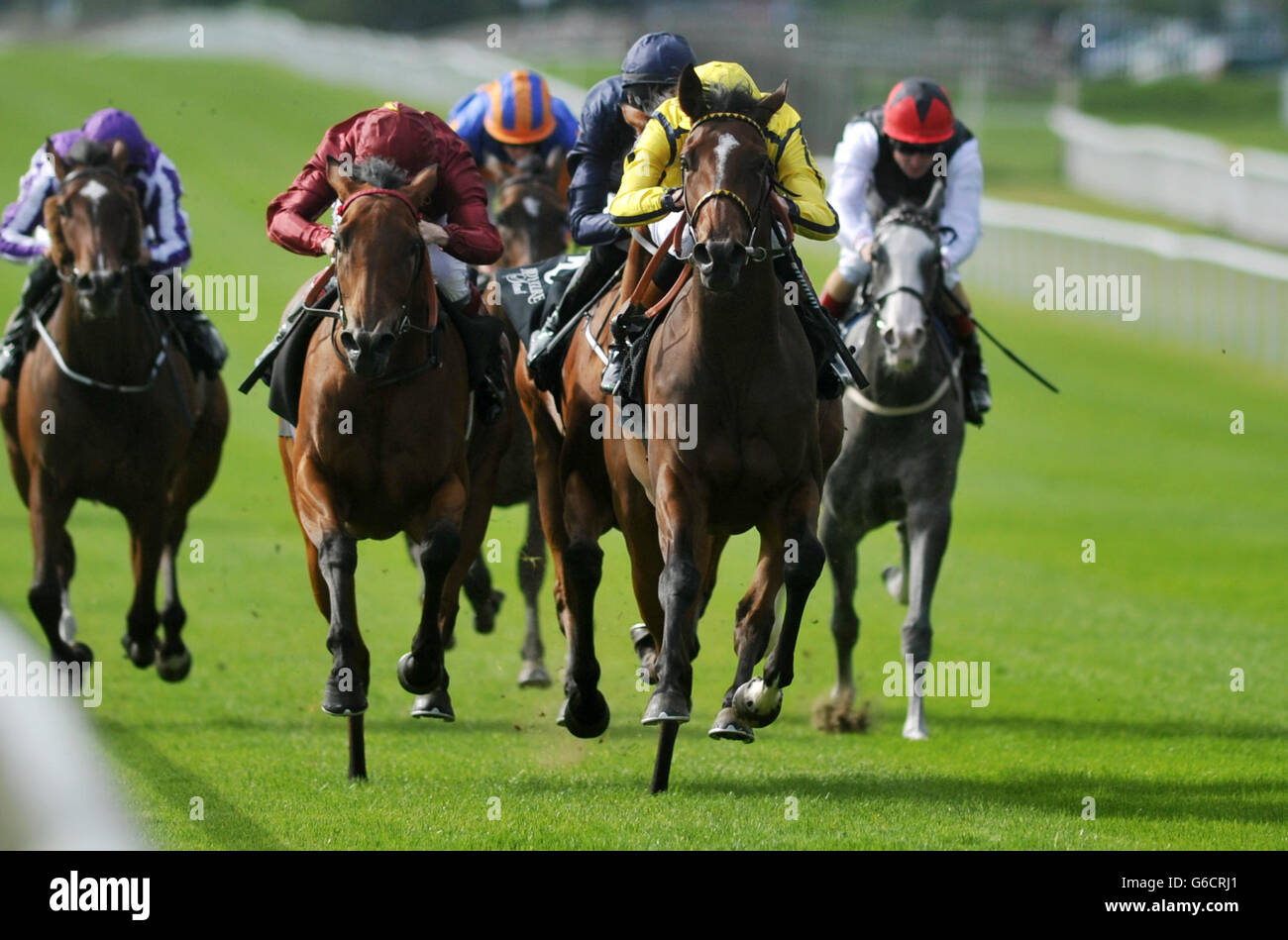 Jockey James Doyle fait passer Rizeena à la victoire dans les piquets de Moyantireflet lors de la Journée des piquets de Moyantireflet au Curragh Racecourse, Co Kildare, Irlande. Banque D'Images