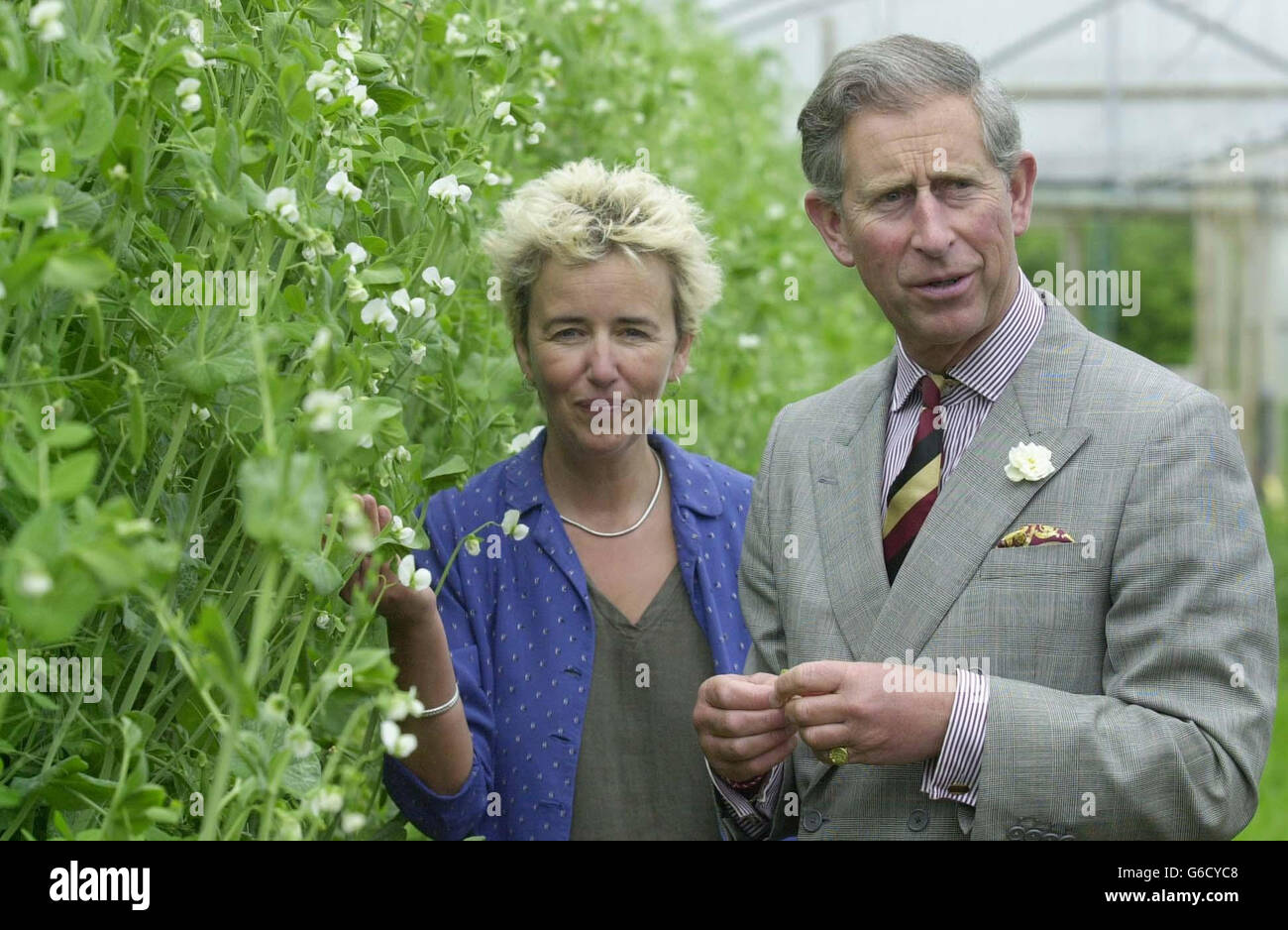 Prince de Galles - Abbey Home Farm Banque D'Images