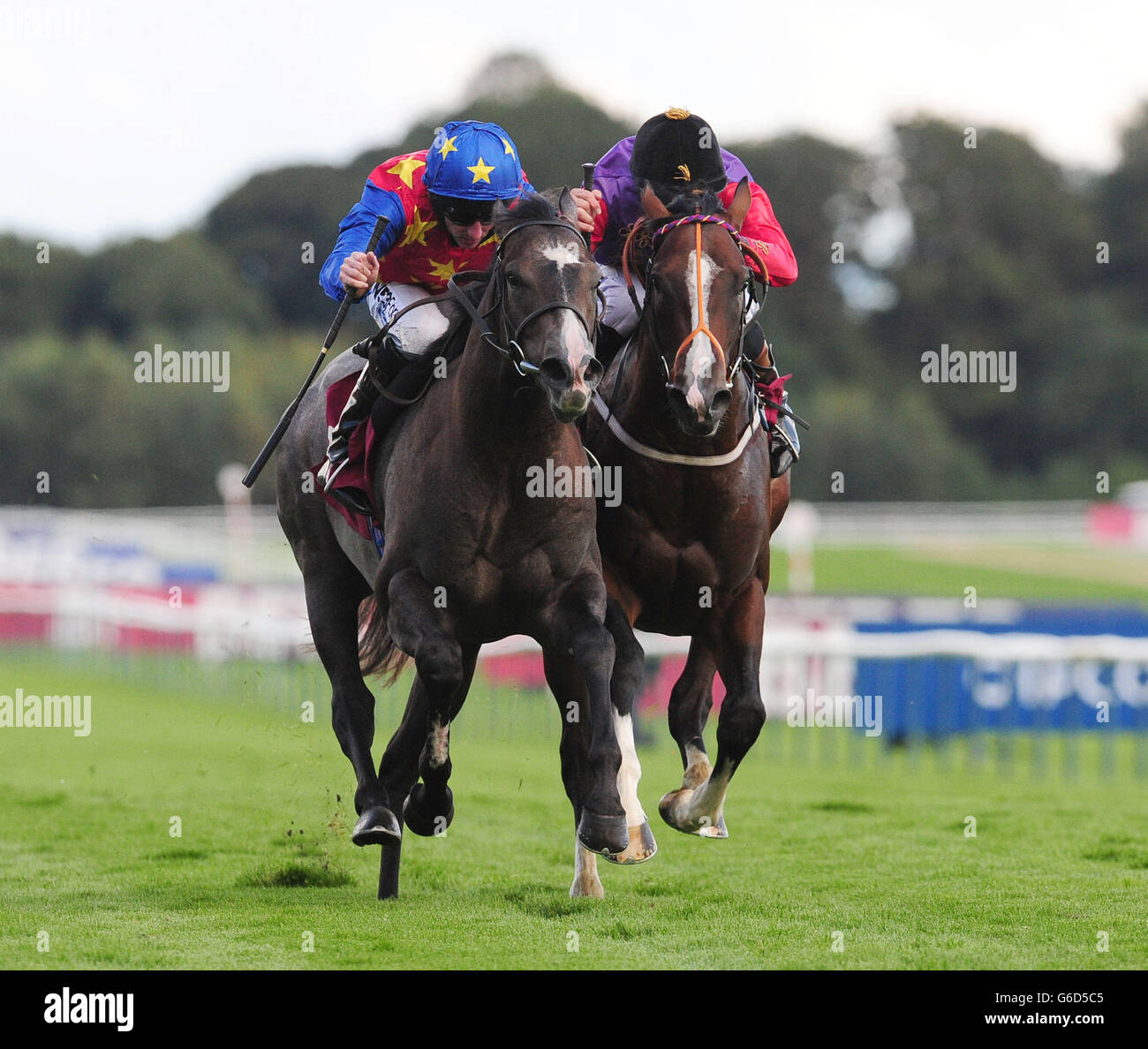 Kickboxer, monté par Paul Hanagan (à gauche), bat musical Comedy, monté par Richard Hughes, pour gagner la chance de Betfred Treble sur les enjeux de Lucky 15s nursery Handicap lors du festival de la coupe Betfred Sprint au champ de courses de Haydock Park, à Newton-le-Willows. Banque D'Images