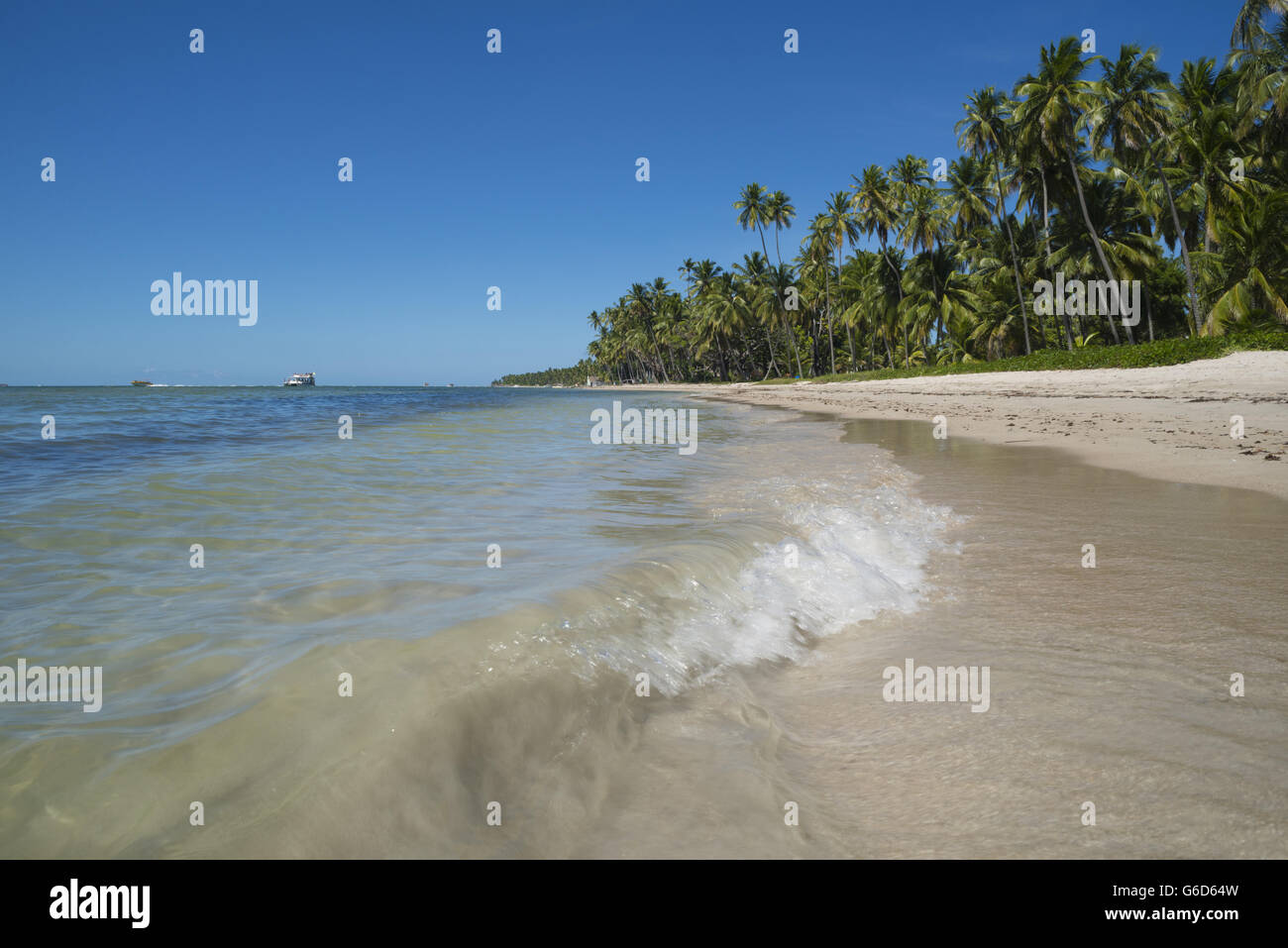 Paysage plage tropicale de niveau de surface. Vague de calme s'écraser sur le sable et palmier vert arrière-plan. Banque D'Images