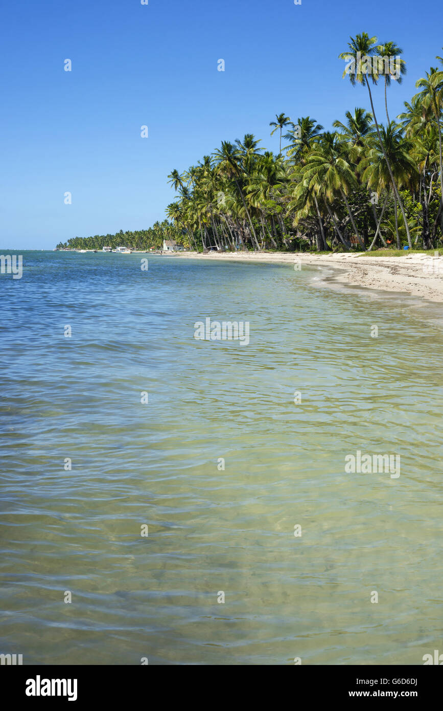 Vacances d'Été tropical beach paysage avec vue sur l'eau de mer et de palmiers en arrière-plan. Banque D'Images