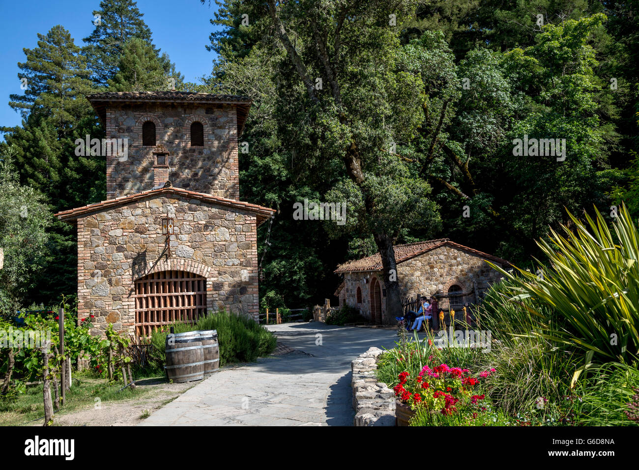 Scène pittoresque d'établissement vinicole avec des bâtiments en pierre dans la région de Napa Valley, Californie. Banque D'Images