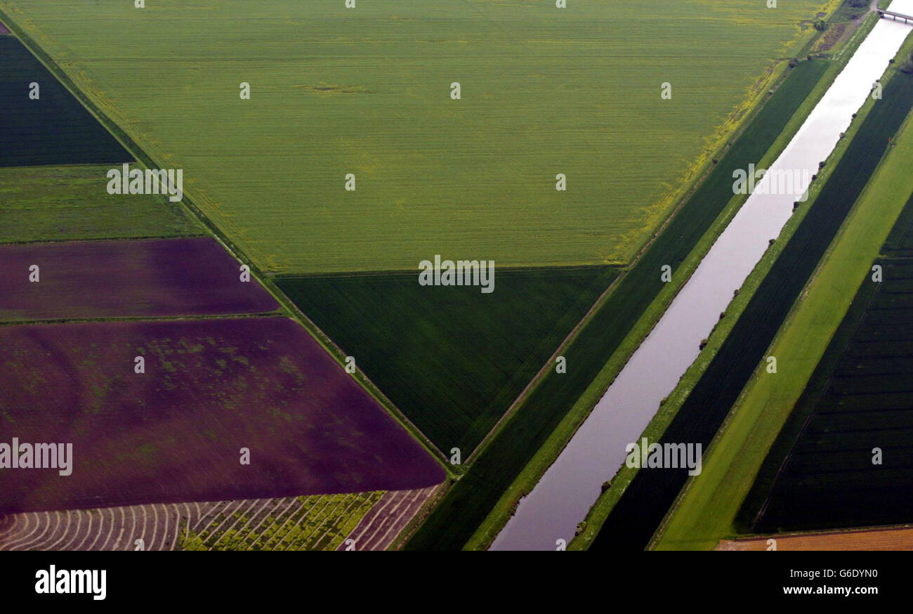 Les terres arables de Cambridgeshire.03/06/2003: L'introduction généralisée des cultures génétiquement modifiées depuis le début du mois d'août pourrait, si elle se poursuit, provoquer un « chaos à long terme » dans toute la Grande-Bretagne rurale sans un système d'enregistrement des terres rigoureux, ont averti les arpenteurs le mardi 3 juin 2003.La Royal institution of Chartered Surveyors a exprimé ses préoccupations au début d'un débat national sur les cultures génétiquement modifiées. Banque D'Images