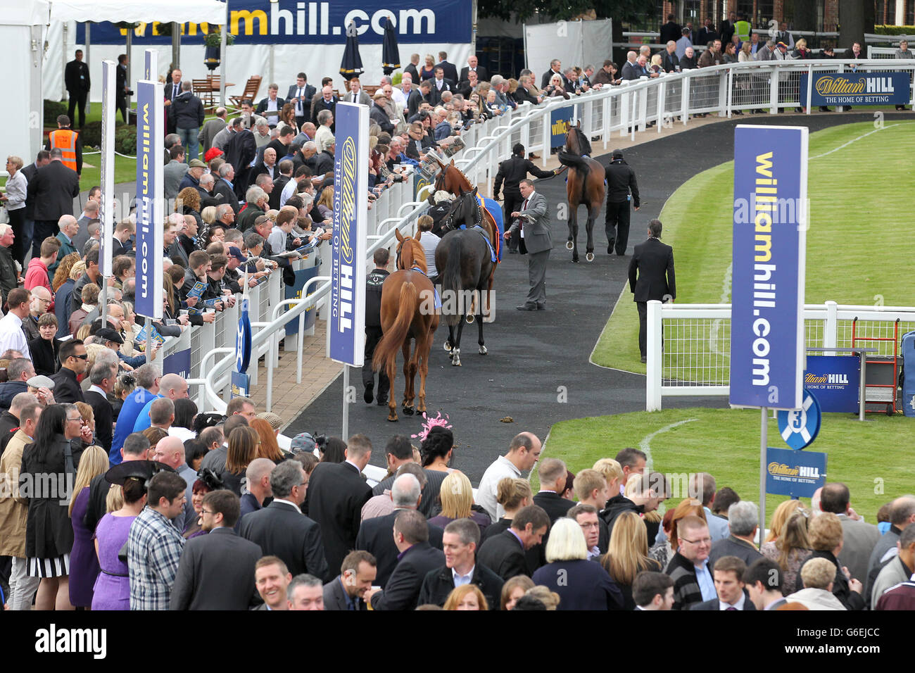 Les courses de chevaux - 2013 William Hill Ayr Gold Cup Festival - Jour trois - Ayr Racecourse Banque D'Images