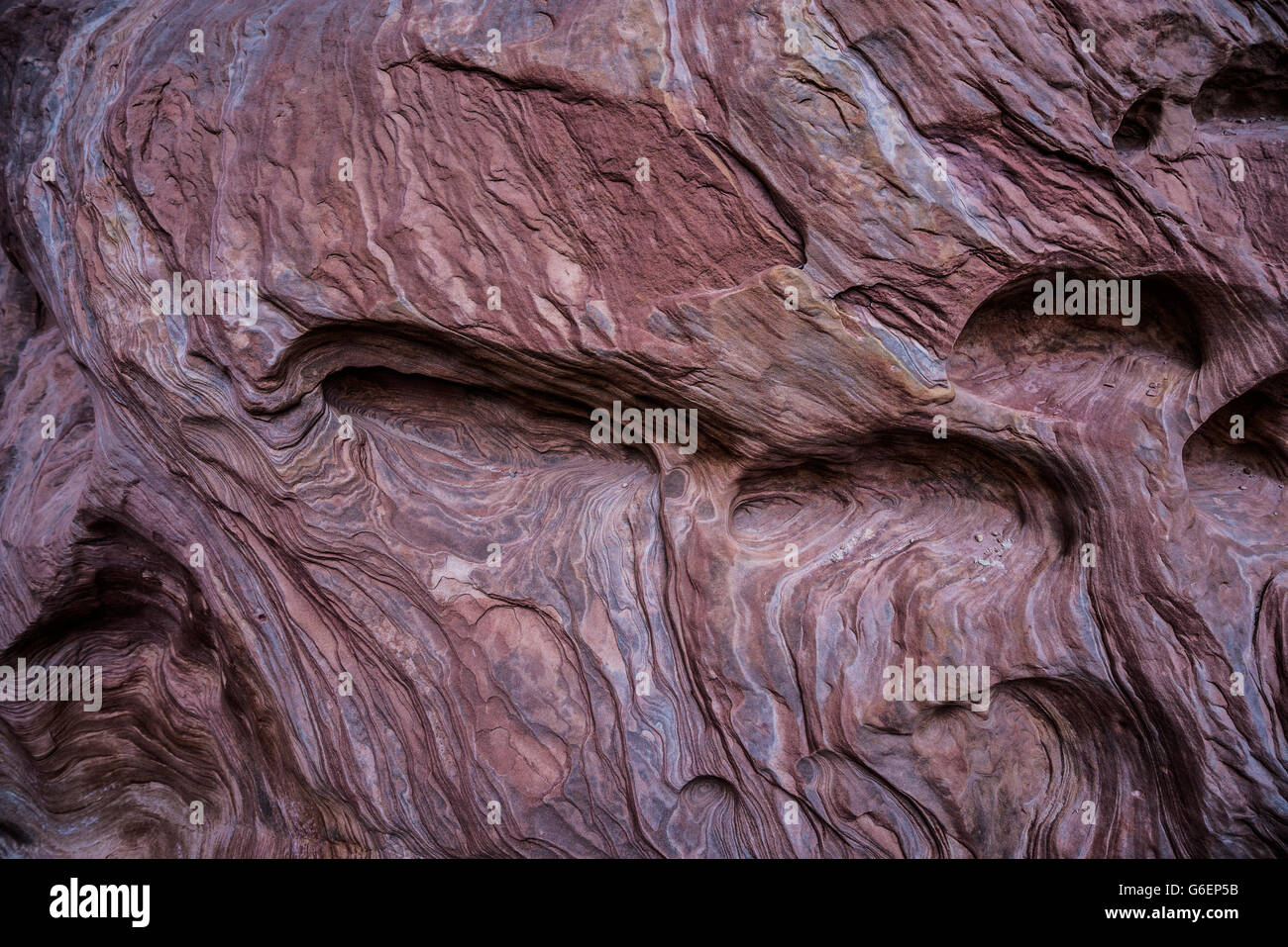 Arrière-plan de grès tourbillons et de poches d'eau petit cheval sauvage les murs de canyon close-up Banque D'Images