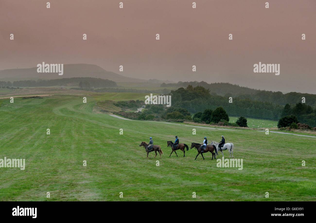 **NOTE AUX ÉDITEURS: Un DÉCLARANT GRADUÉ A ÉTÉ UTILISÉ** tôt le matin, la brume d'automne se trouve sur les collines de Pennine tandis que les chevaux sont exercés sur les galops près de Middleham, dans le North Yorkshire. Banque D'Images