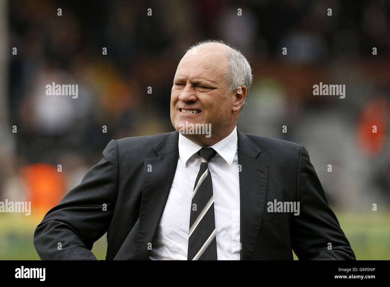 Soccer - Barclays Premier League - Fulham v Cardiff City - Craven Cottage Banque D'Images