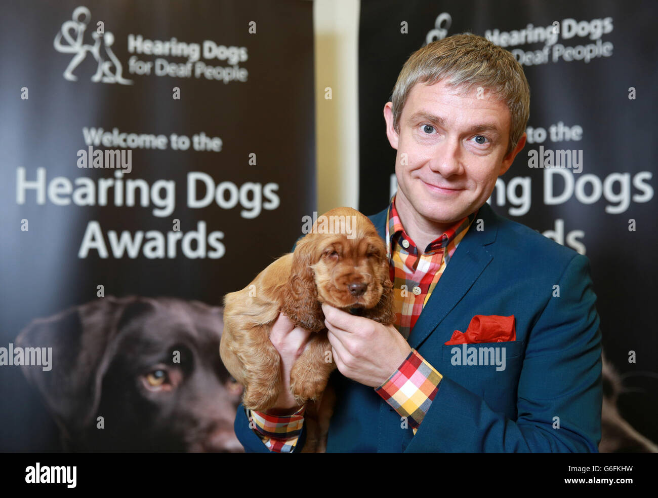 USAGE ÉDITORIAL UNIQUEMENT.Martin Freeman pose avec le chiot de chien d'audition Alvin au Hearing Dog Awards organisé par Hearing Dogs for Deaf People à Regents University Londres. Banque D'Images