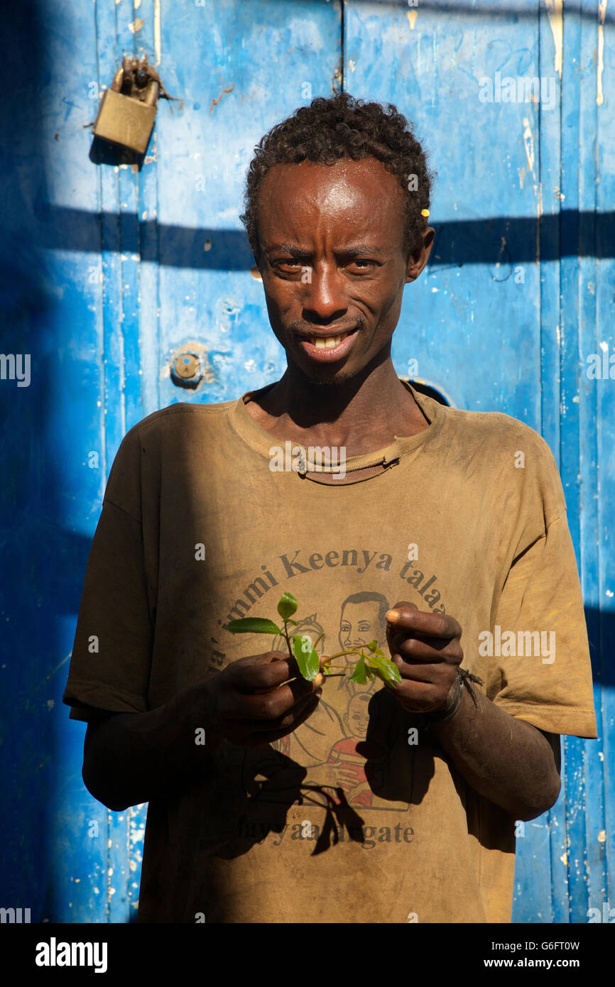 Portrait d'homme éthiopien de mâcher de khat. Catha edulis. Harar. L'Ethiopie Banque D'Images