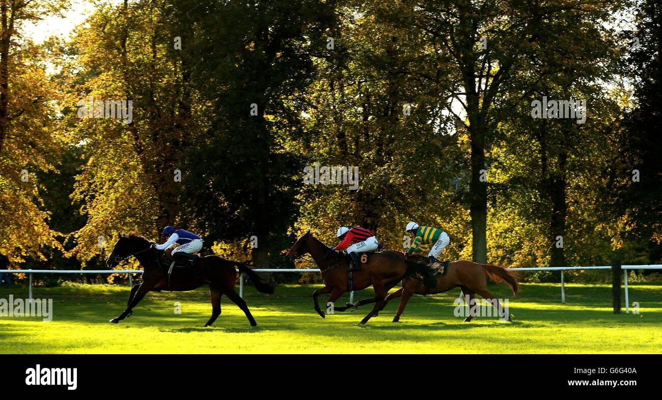 Le gagnant éventuel Christopher Wren, monté par A.P.McCoy, se place en troisième position derrière un autre Flutter et le mardi de minuit dans le Richard Davis Memorial handicap Chase à l'hippodrome de Worcester, Worcester. Banque D'Images